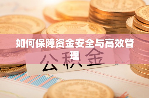 澎湖如何保障资金安全与高效管理