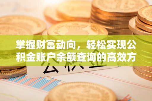 澎湖掌握财富动向，轻松实现公积金账户余额查询的高效方式