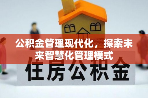 澎湖公积金管理现代化，探索未来智慧化管理模式