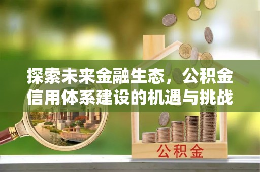 澎湖探索未来金融生态，公积金信用体系建设的机遇与挑战