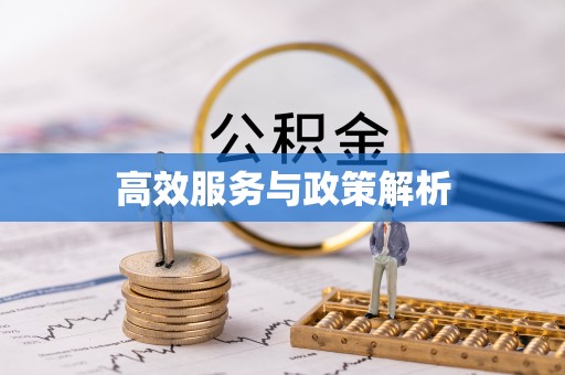 澎湖高效服务与政策解析