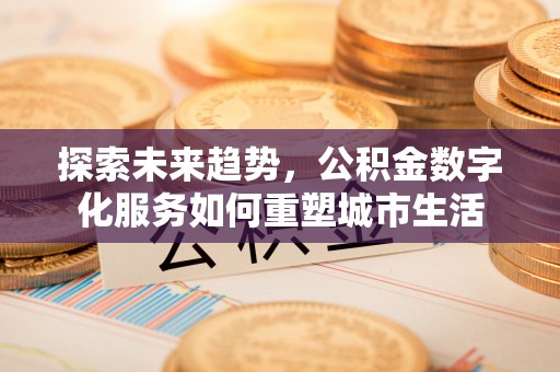 澎湖探索未来趋势，公积金数字化服务如何重塑城市生活