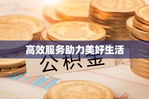 澎湖高效服务助力美好生活