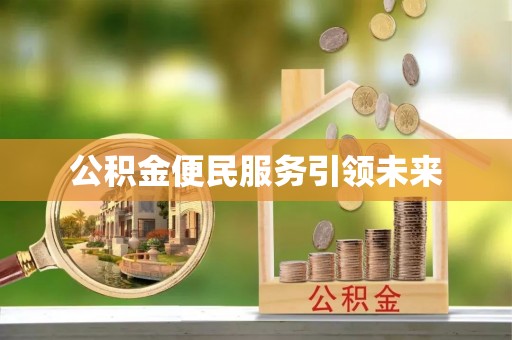 澎湖公积金便民服务引领未来