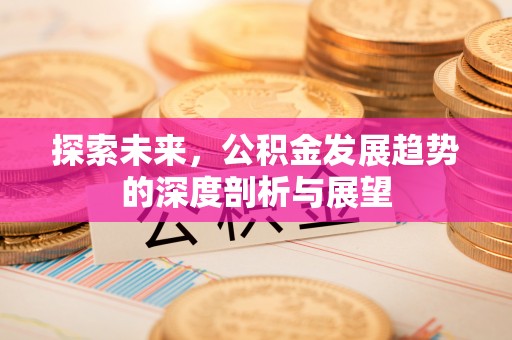 澎湖探索未来，公积金发展趋势的深度剖析与展望