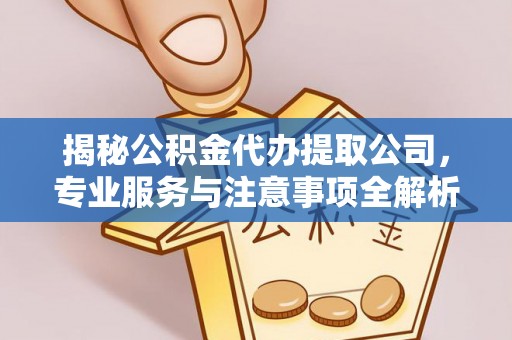 澎湖揭秘公积金代办提取公司，专业服务与注意事项全解析