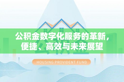 澎湖公积金数字化服务的革新，便捷、高效与未来展望