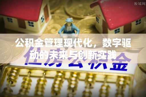 澎湖公积金管理现代化，数字驱动的未来与创新实践