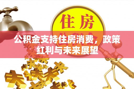 澎湖公积金支持住房消费，政策红利与未来展望