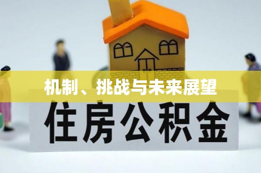澎湖机制、挑战与未来展望