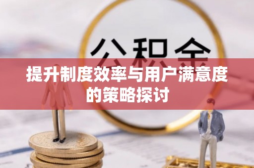 澎湖提升制度效率与用户满意度的策略探讨